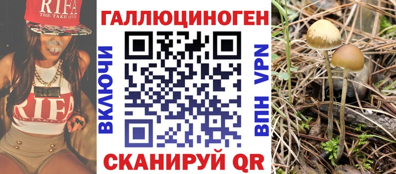 Псилоцибиновые грибы Psilocybine cubensis  магазин продажи наркотиков  Новотитаровская 